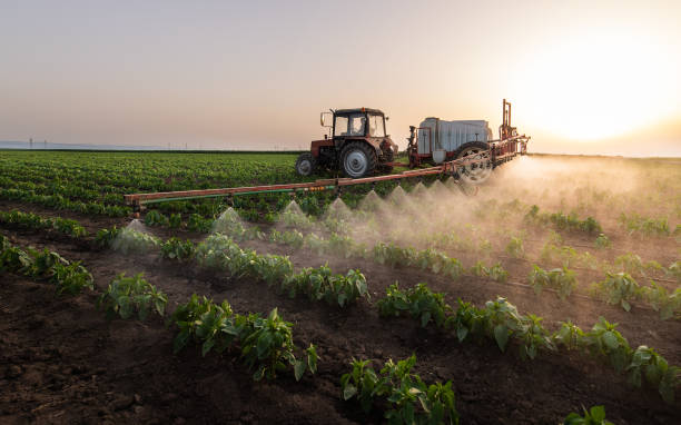 Best Commercial Pest Control Services  in Kings Park, NY
