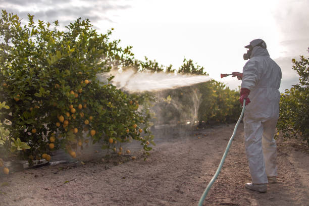 Professional Pest Control in Kings Park, NY