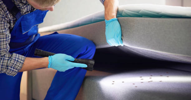 Best Residential Pest Control  in Kings Park, NY